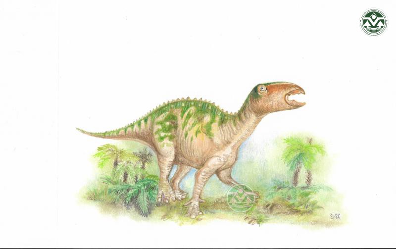 Sirindhorna khoratensis