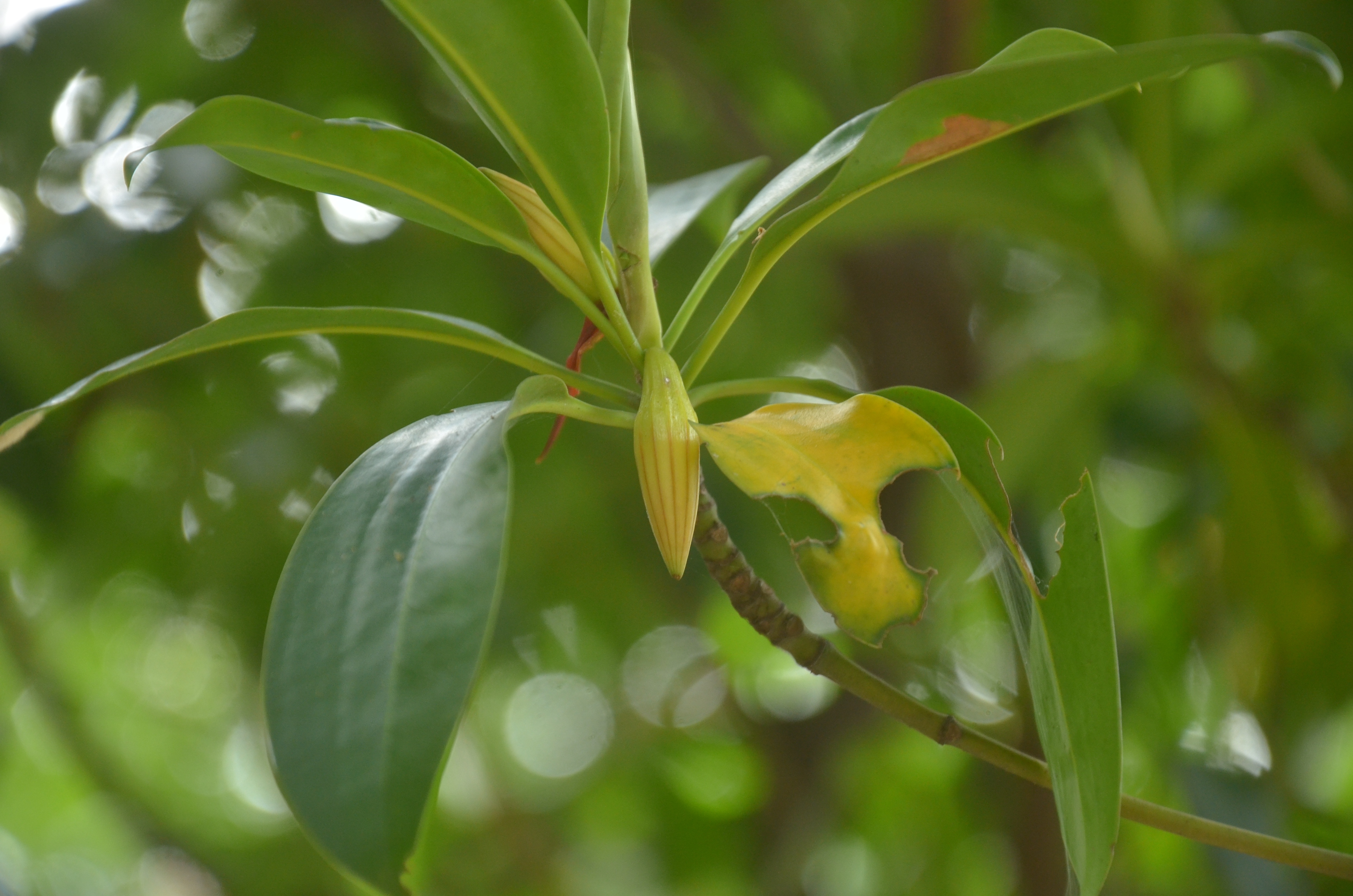post-slider
