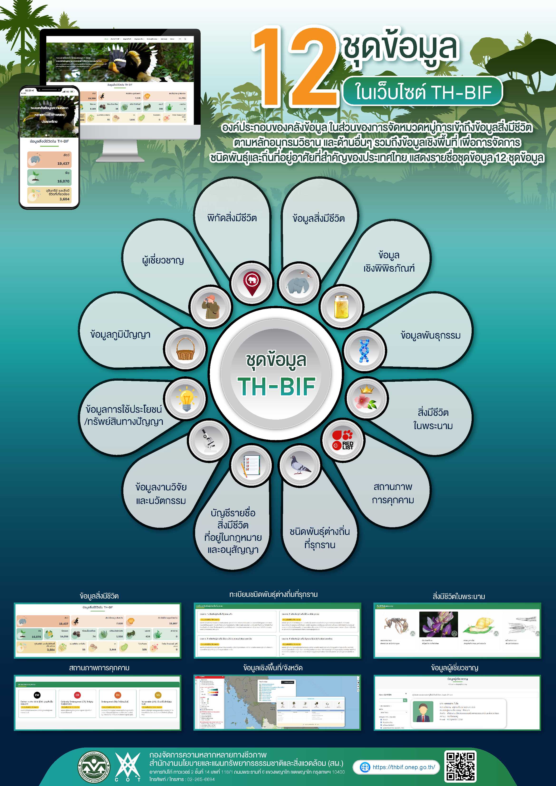 12 ชุดข้อมูลในเว็บไซต์ TH-BIF